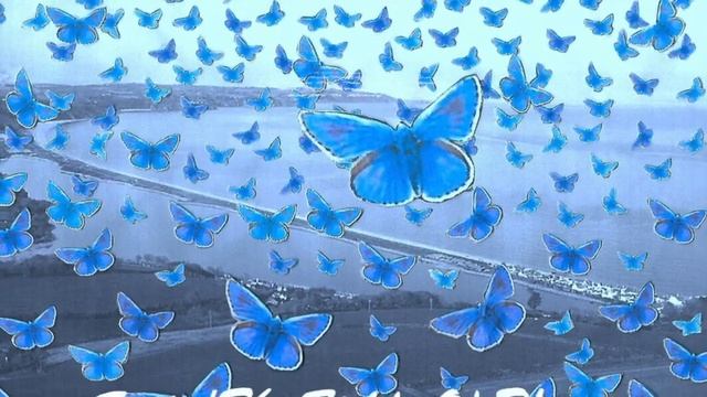 SUITE 'THE FIELDS OF THYME' al dutton (From The Ballet Suite 'The Love Story') смотреть онлайн