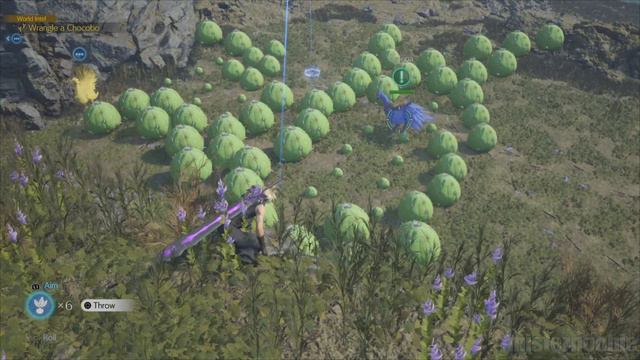 Catch Chocobo Selena In Nibelheim - Final Fantasy 7 Rebirth