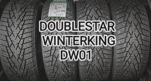Китайская зимняя резина Doublestar WinterKing DW01