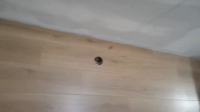 Laminat Na Zid Zavrsen