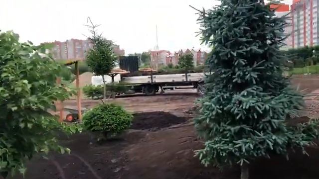 Озеленения и благоустройство территории смотреть онлайн