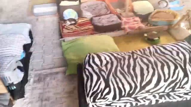 обзор на кошачий дом, многоквартирный! в Турции смотреть онлайн