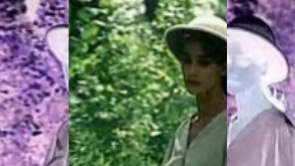 Rosa Caracciolo (Italian actress) Spouse: Rocco Siffredi रोजा कैराशिकोलो (इतालवी अभिनेत्री) R11