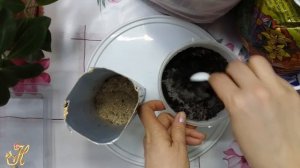 Февраль.Как правильно посадит луковицы садовых лилий дома