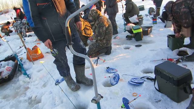 Стрелецкий Ручей 19/01/2019- 5 смотреть онлайн