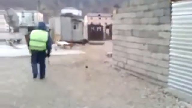 Мент катается на осле смотреть онлайн