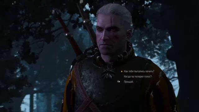 The Witcher 3: диалог с немым смотреть онлайн