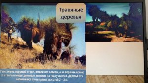 7 кл, урок 24. Орган мир, население Австралии