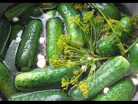 Малосольные огурчики (Малосольные огурцы быстрый рецепт)