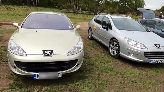 Peugeot 407 UK Facebook group members car meet at Clumber Park.