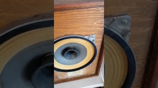 10гдш-1-4 на тканевом подвесе. смотреть онлайн