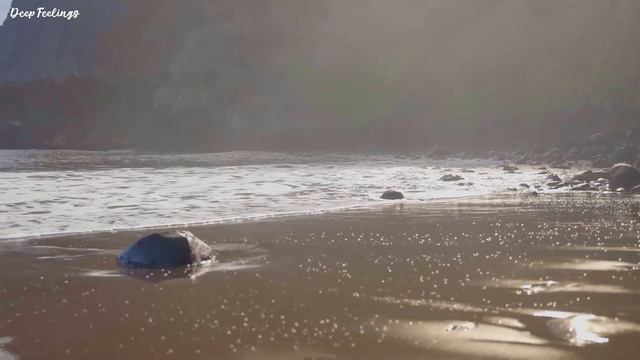 RILTIM, DNDM, DAVIT BARQAIA, IMAZEE, ZUBI, HUSSEIN ARBABI, MZADE, GHAMARNI, MYRIAM FARES #181