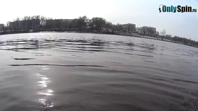 Ловля жереха на джиг #OnlySpin смотреть онлайн