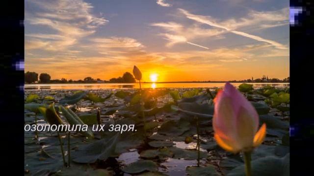 Долина лотосов.красивая музыка! смотреть онлайн
