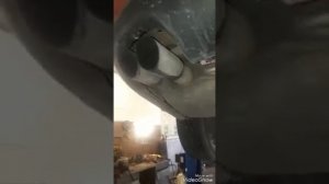 Ремонт глушителя на Фольксваген Пассат Б6.