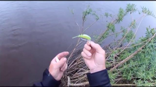 Amni Hook в действии