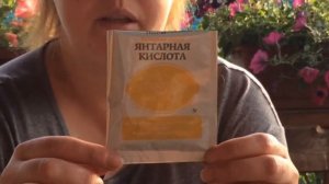 Цикламен проснулся. Что делать дальше ???