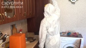 Обработка кухни от тараканов методом орошения