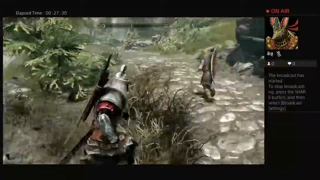 Pattysagod84's Live PS4 Broadcast Skyrim смотреть онлайн