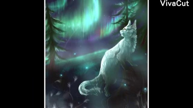 Коты Воители изменили мне жизнь. Почему? Смотрите сами. Ставьте лайк и подписывайтесь. смотреть онлайн