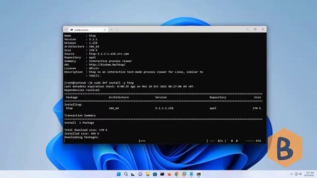 How to Download and Install HTOP in Centos 8 Server | Install the htop Command in CentOS 8 смотреть онлайн