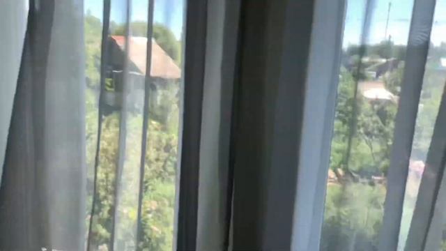 ЗАГОРОДНАЯ НЕДВИЖИМОСТЬ СНТ ЧАЙКА ПРОДАЕТСЯ ДАЧА! #сад #огород #дача #загородная_недвижимость vlo смотреть онлайн