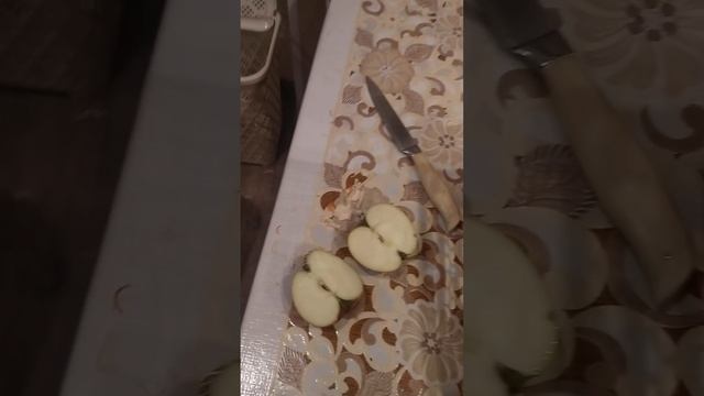 Яблоки из погреба на начало декабря . смотреть онлайн