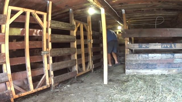 Сколько весит моя скотина смотреть онлайн