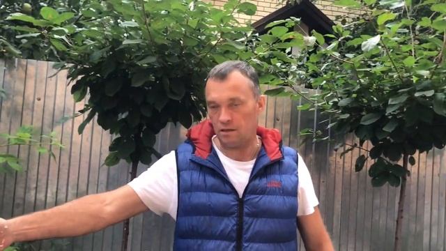 Экспресс-оладьи из кабачков #мужчина_готовит смотреть онлайн