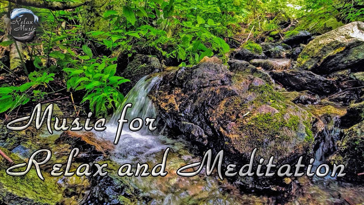 Красивая расслабляющая музыка и шум лесного ручья для отдыха, медитации, снятия стресса смотреть онлайн
