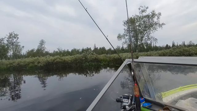 День рыбака в ЯНАО (июль 2020). Отличный клев окуня, язя, щуки. смотреть онлайн
