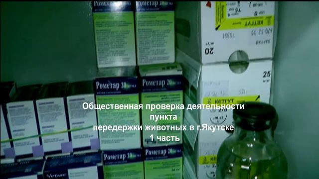Общественная палата г.Якутска, выездная проверка деятельности пункта передержки животных в г.Якутск смотреть онлайн