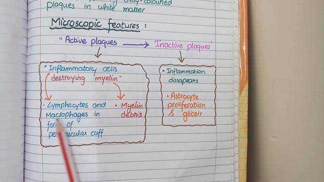 Multiple Sclerosis Pathology |Morphology смотреть онлайн