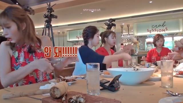 TWICE Being The Masters Of Clumsiness For 10 Minutes “straight”