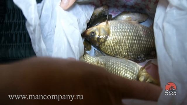 Ловля карася смотреть онлайн