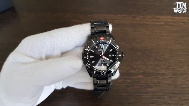 Обзор Citizen BN0195-54E Promaster