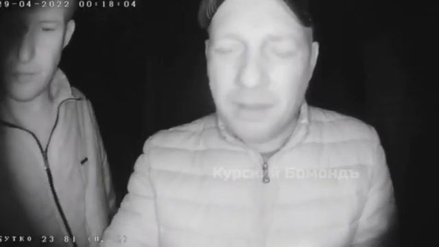 Два петровича и бессильная Алиса. смотреть онлайн