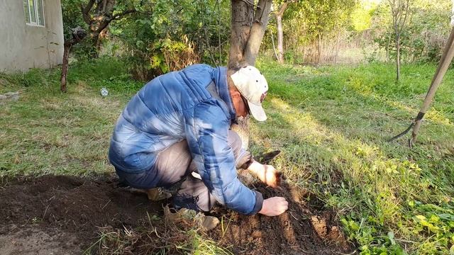 17 На камне серебро а снизу золото (3).mp4 смотреть онлайн