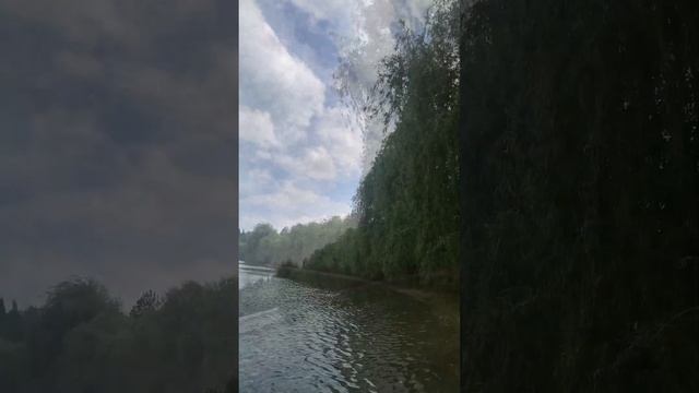 Почему плачет Ива???#short #shorts #shortvideo #youtubeshorts #viral #слезы #willowtree #рек смотреть онлайн