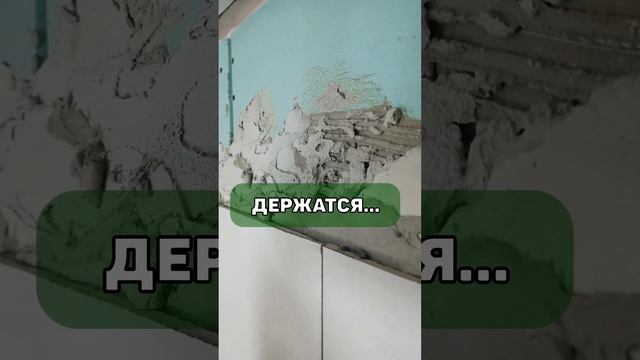 Что с гипсокартоном в ванной? смотреть онлайн