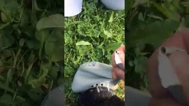 Купольный дом, покрытый мастикой Гипердесмо Жидкая резина смотреть онлайн