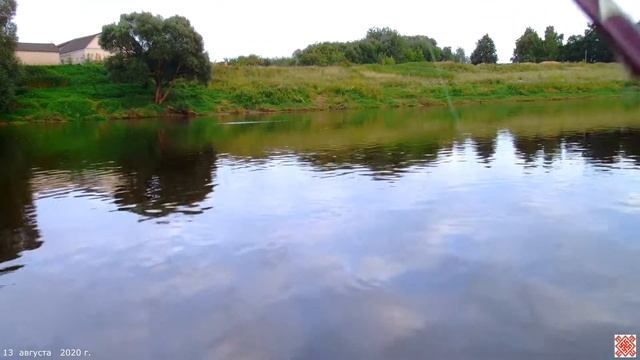 (56) ОРША - ДНЕПР - СПИННИНГ - ВЕЧЕРНЯЯ ЛОВЛЯ ( 13 августа 2020 г. ) смотреть онлайн