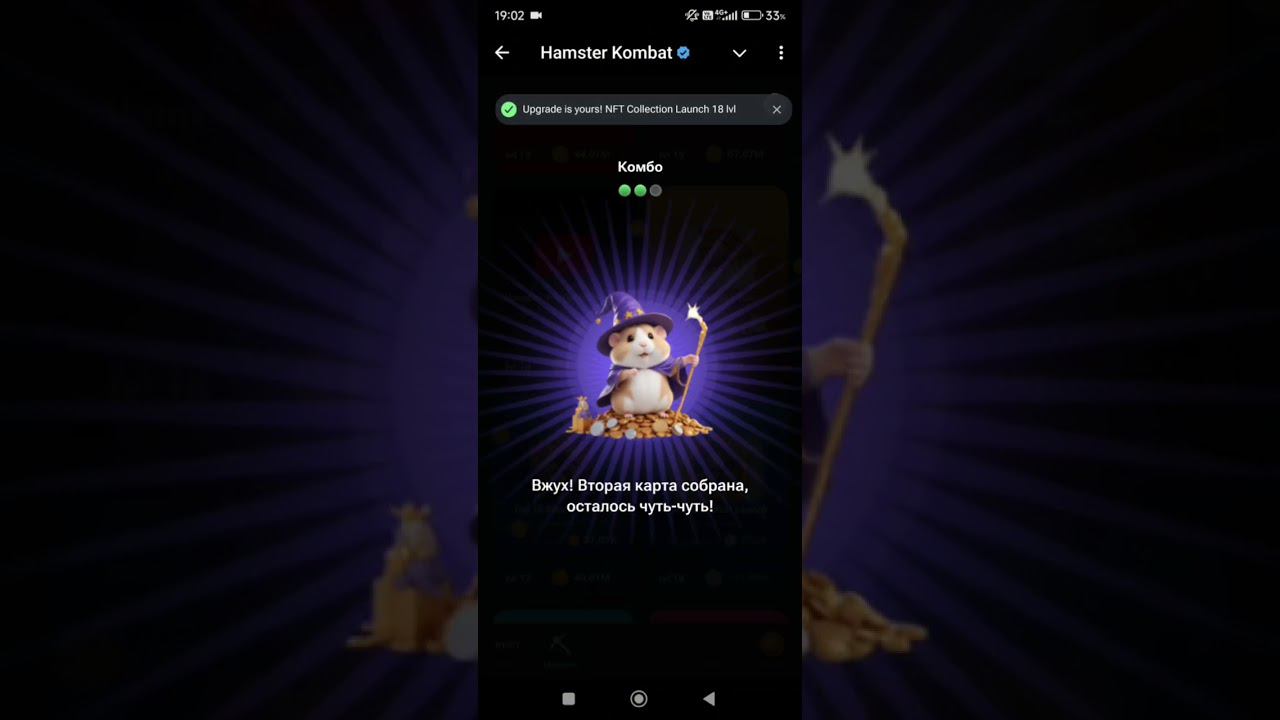 Комбо карты Hamster Kombat 22 - 23 августа 2024: карты, секреты и как найти комбо сегодня в Хомяке смотреть онлайн