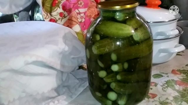Время заготовок. Мариную огурцы.