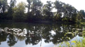 Уклейка на поплавок. Прикормка, оснастка, рыбалка. Ловля уклейки.