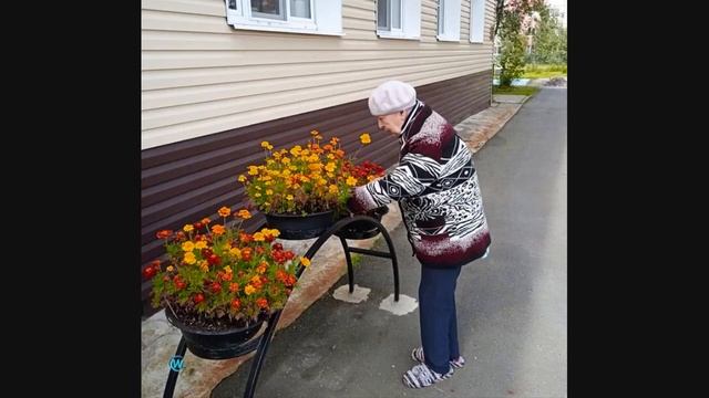 МОГУТ ЛИ БЫТЬ СЧАСТЛИВЫ ПОЖИЛЫЕ В ДОМЕ ПРЕСТАРЕЛЫХ? смотреть онлайн