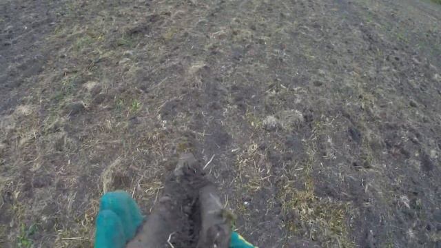 черное золото много металла металокоп смотреть онлайн