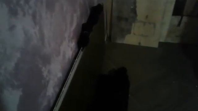 EcoStone отзыв 8