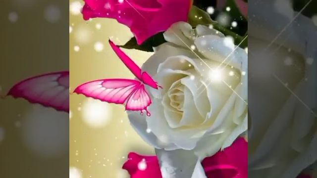 Доброго вечера?! красивая? музыкальныя ❤открытка ? смотреть онлайн