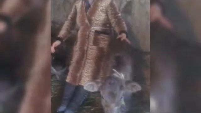 Юбилей 25 лет смотреть онлайн